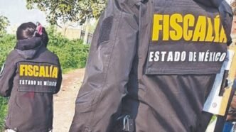 Descubren cuerpos en Ecatepec: alarma y exigencias de seguridad